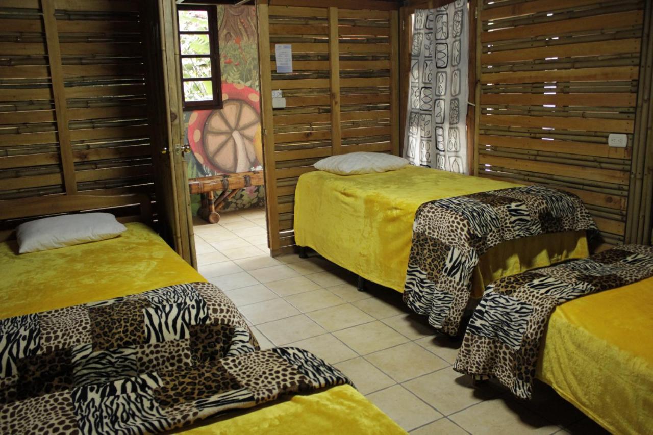 Hostal Casa Buho Antigua Esterno foto